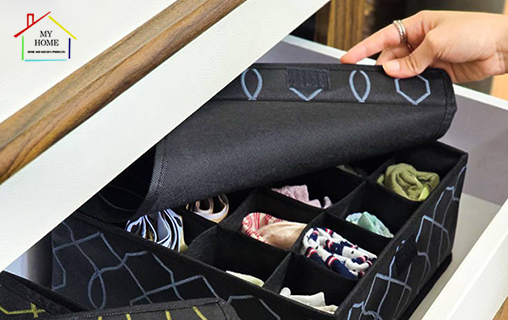 نظم دهنده مای هوم